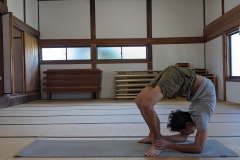 Chakrabandhasana