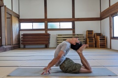 Rajakapotasana